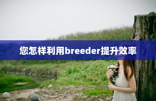 您怎样利用breeder提升效率