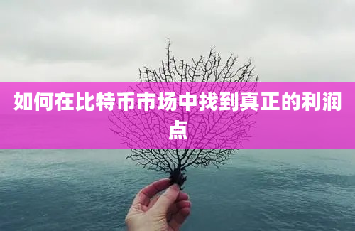 如何在比特币市场中找到真正的利润点