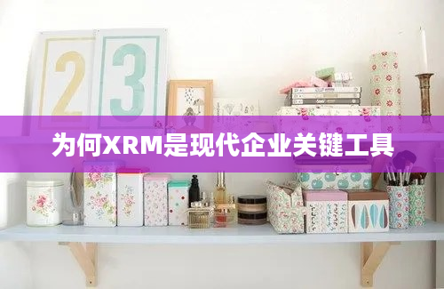 为何XRM是现代企业关键工具