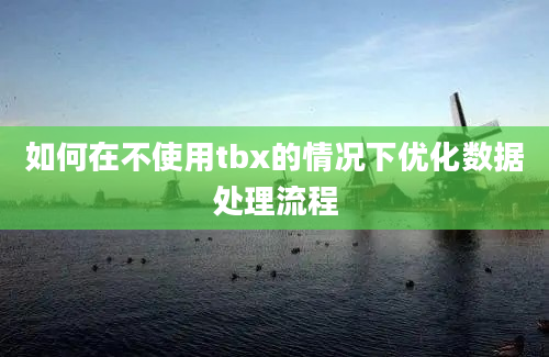 如何在不使用tbx的情况下优化数据处理流程