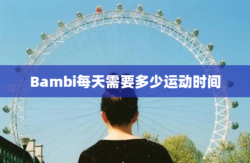 Bambi每天需要多少运动时间