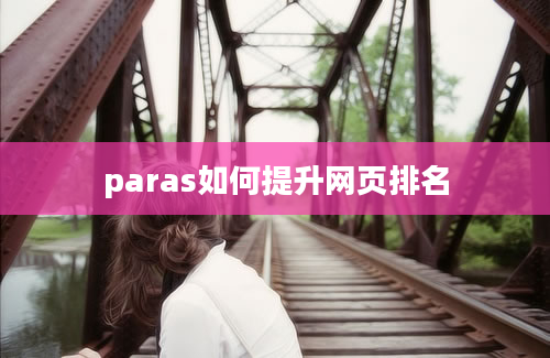 paras如何提升网页排名