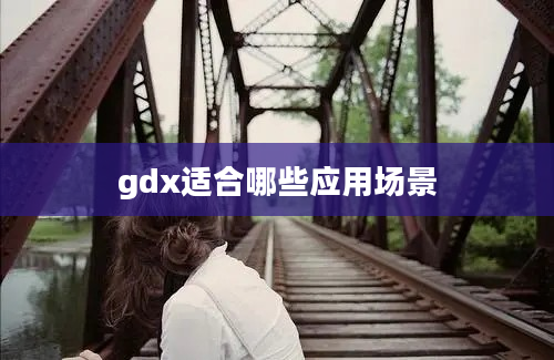 gdx适合哪些应用场景