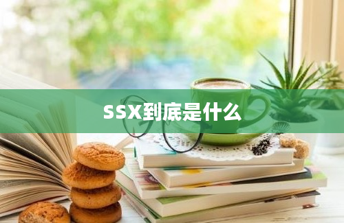 SSX到底是什么