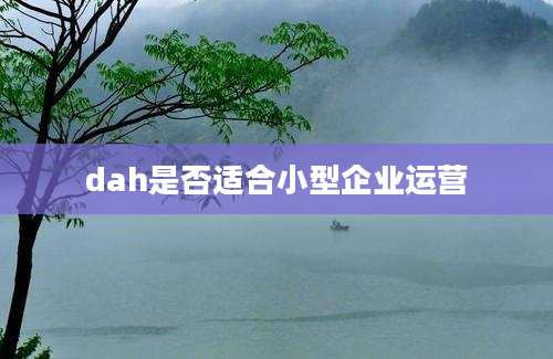 dah是否适合小型企业运营