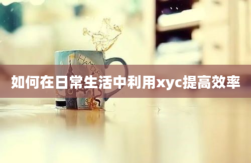 如何在日常生活中利用xyc提高效率