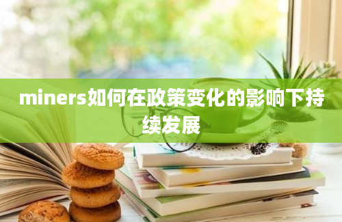 miners如何在政策变化的影响下持续发展