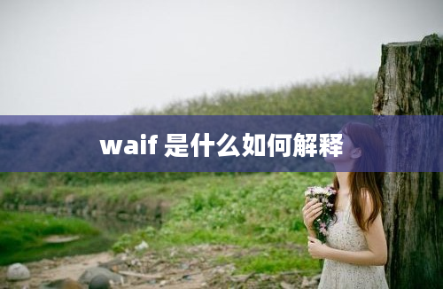 waif 是什么如何解释