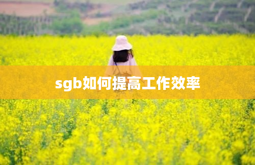 sgb如何提高工作效率