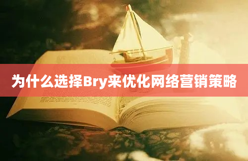 为什么选择Bry来优化网络营销策略