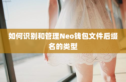 如何识别和管理Neo钱包文件后缀名的类型