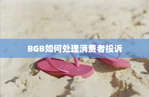 BGB如何处理消费者投诉