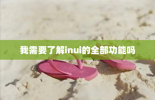 我需要了解inui的全部功能吗