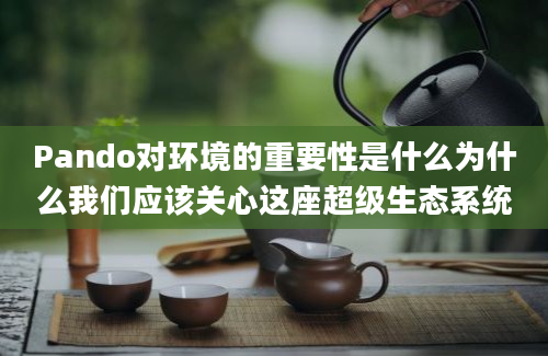 Pando对环境的重要性是什么为什么我们应该关心这座超级生态系统