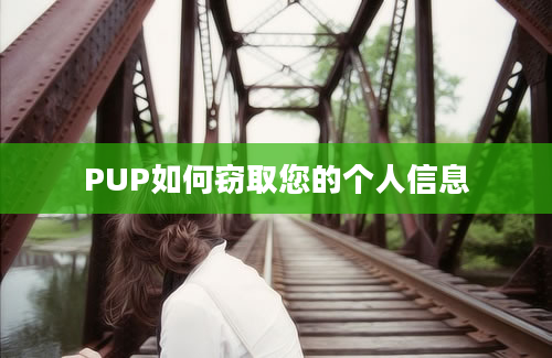 PUP如何窃取您的个人信息