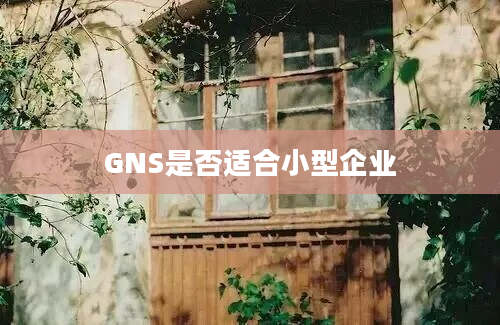 GNS是否适合小型企业