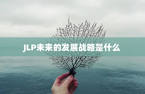 JLP未来的发展战略是什么