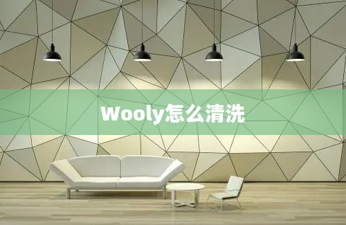 Wooly怎么清洗