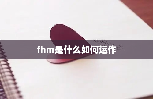 fhm是什么如何运作