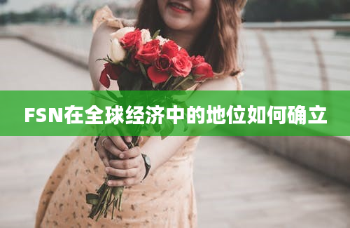 FSN在全球经济中的地位如何确立