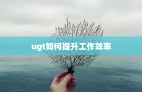 ugt如何提升工作效率