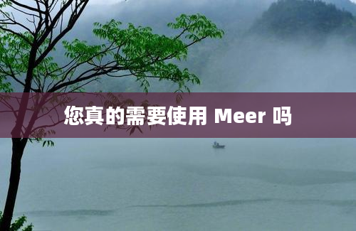 您真的需要使用 Meer 吗