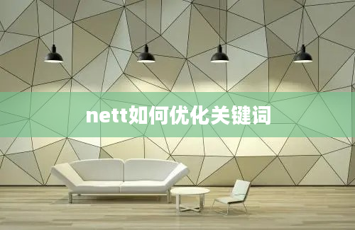 nett如何优化关键词