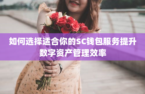 如何选择适合你的SC钱包服务提升数字资产管理效率