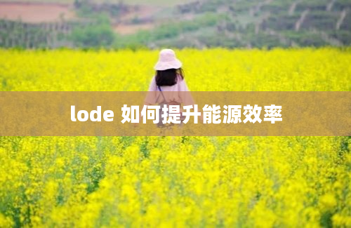 lode 如何提升能源效率