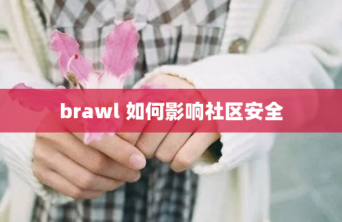 brawl 如何影响社区安全