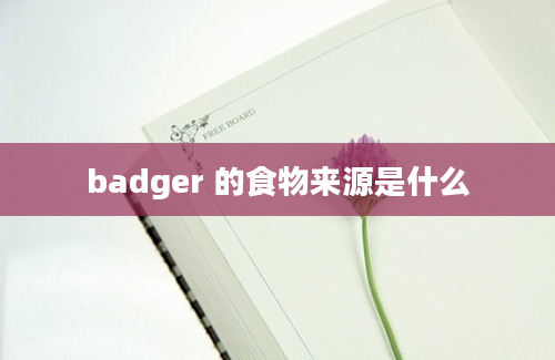 badger 的食物来源是什么