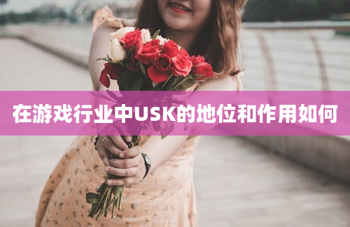 在游戏行业中USK的地位和作用如何