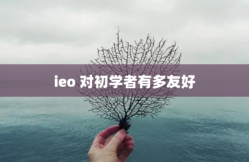 ieo 对初学者有多友好