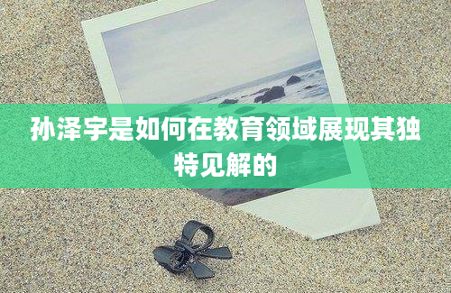 孙泽宇是如何在教育领域展现其独特见解的