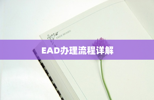 EAD办理流程详解