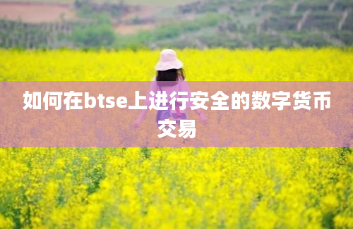 如何在btse上进行安全的数字货币交易