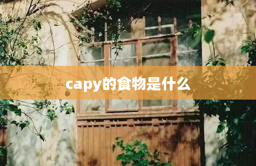 capy的食物是什么