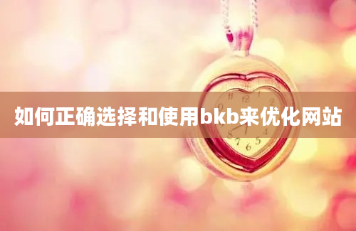 如何正确选择和使用bkb来优化网站