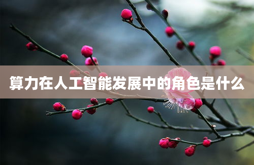 算力在人工智能发展中的角色是什么