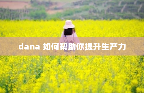 dana 如何帮助你提升生产力