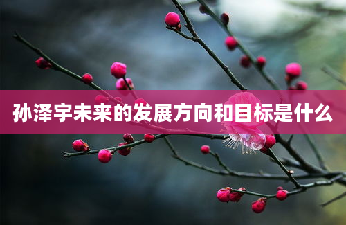 孙泽宇未来的发展方向和目标是什么