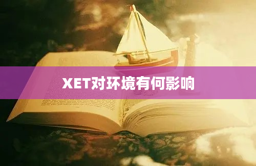 XET对环境有何影响