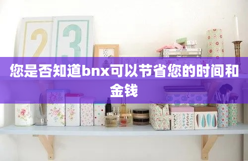 您是否知道bnx可以节省您的时间和金钱