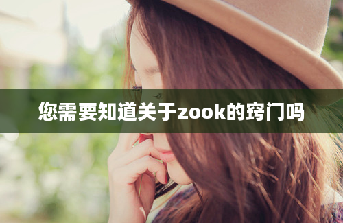 您需要知道关于zook的窍门吗