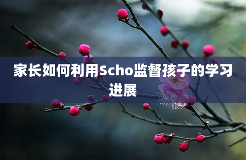 家长如何利用Scho监督孩子的学习进展