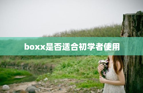 boxx是否适合初学者使用