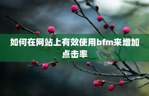 如何在网站上有效使用bfm来增加点击率