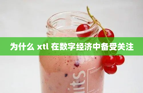 为什么 xtl 在数字经济中备受关注