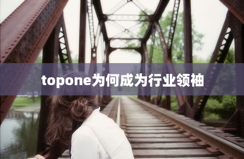 topone为何成为行业领袖