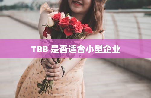 TBB 是否适合小型企业